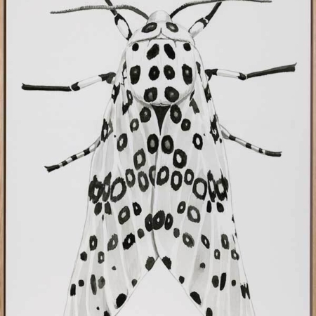 Gaston Canvas Art Print