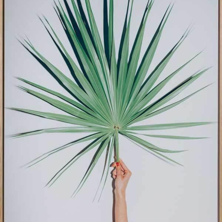 Out on a Limb Canvas Art Print