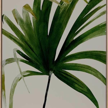 Solo Canvas Art Print