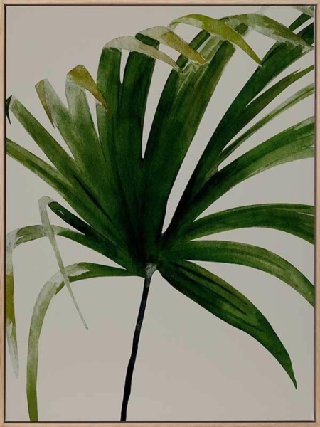 Solo Canvas Art Print