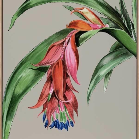 Crimson Bloom Canvas Art Print