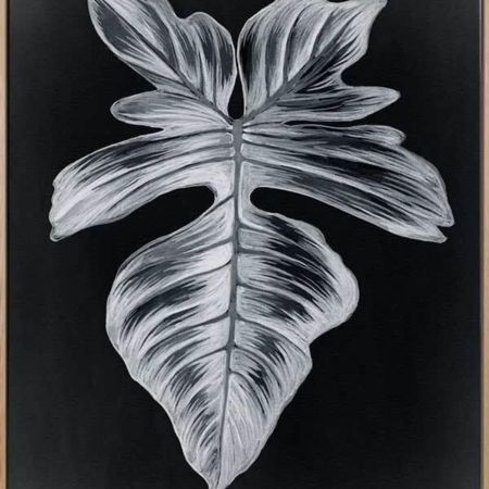 Verdure III Midnight Canvas Art Print