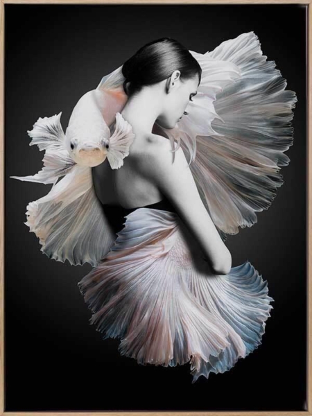 Shai Canvas Art Print