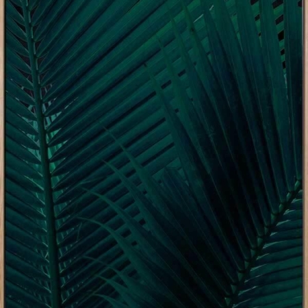 Shade I Canvas Art Print