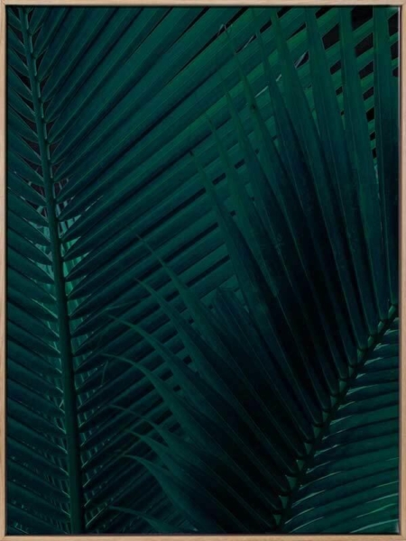 Shade I Canvas Art Print