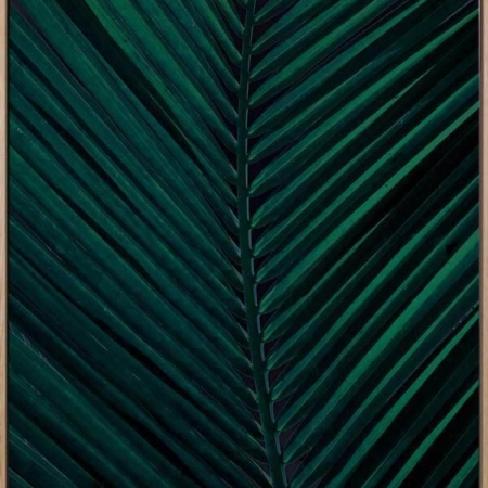 Shade II Canvas Art Print