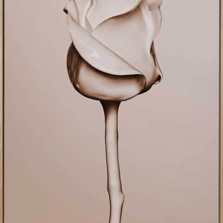 Rosewater Canvas Art Print