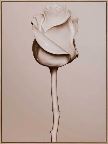 Rosewater Canvas Art Print