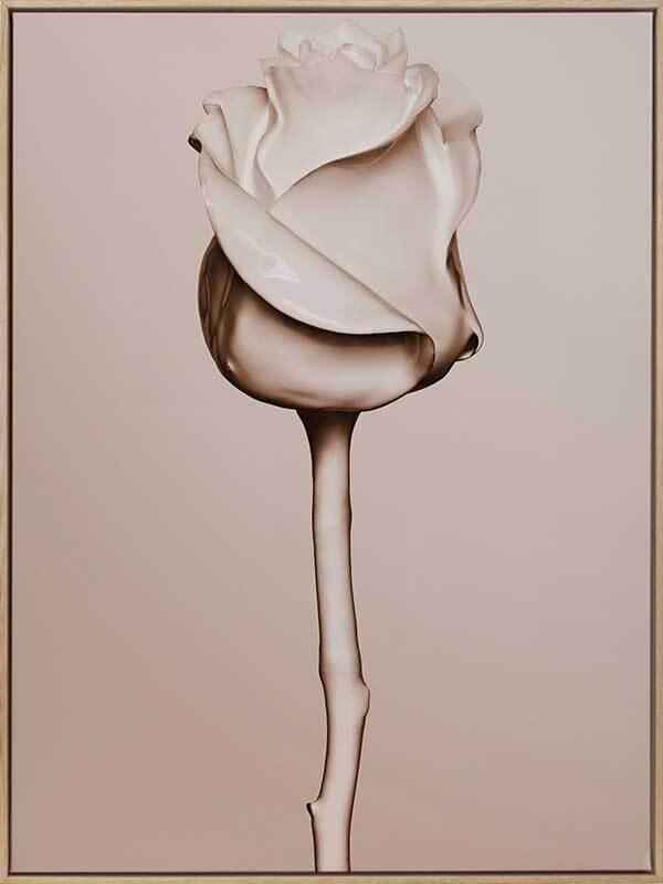 Rosewater Canvas Art Print