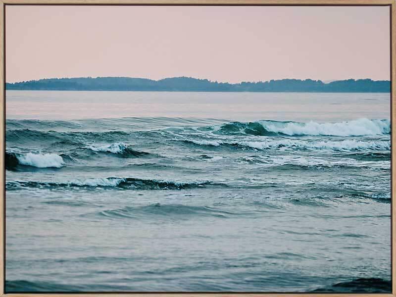 Cape Tribulation Canvas Art Print