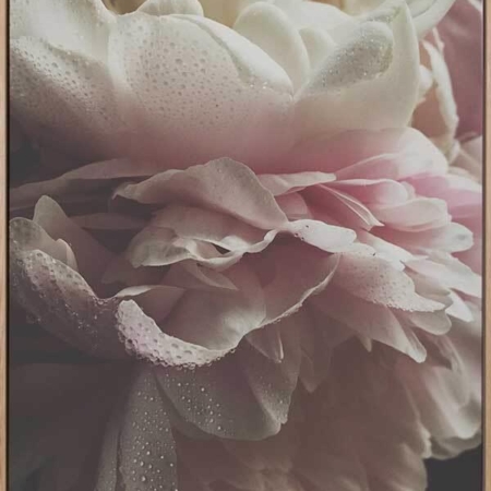 Chivalrous Canvas Art Print