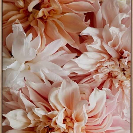 Ethereal Canvas Art Print