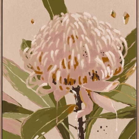 Neutral Waratah Canvas Art Print