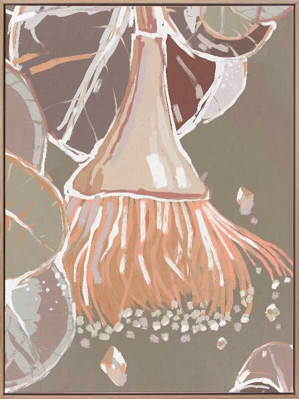 Peach Flowering Gum Canvas Art Print