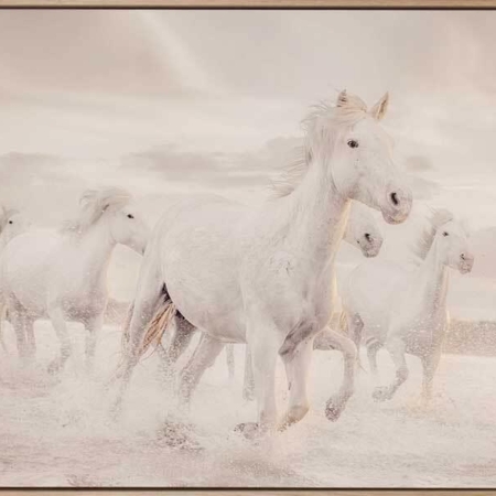 White Horse Stampede Canvas Art Print