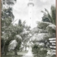 The Lighthouse Canvas Art Print