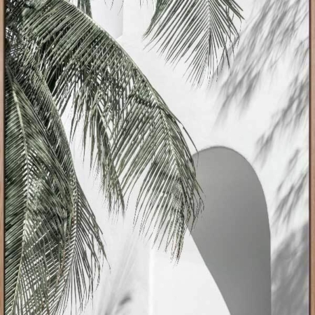 Palm Shadows Canvas Art Print