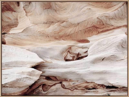 Canyon Wall Canvas Art Print