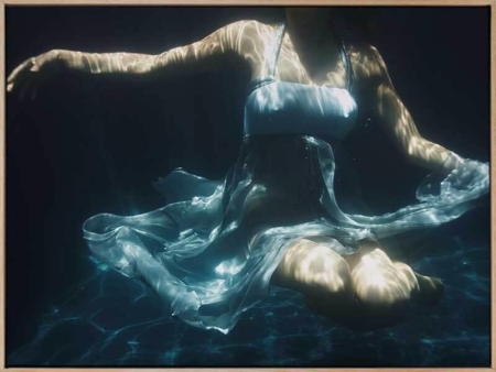 Submerged Canvas Art Print