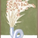 Villa Bloom II Canvas Art Print