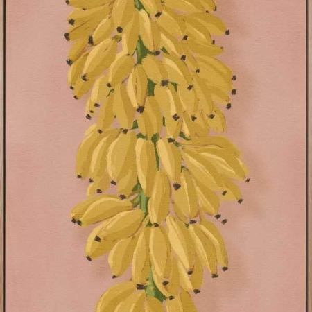 Platano I Pink Canvas Art Print