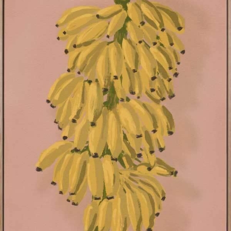 Platano II Pink Canvas Art Print