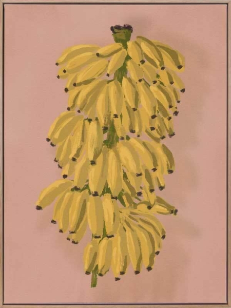 Platano II Pink Canvas Art Print