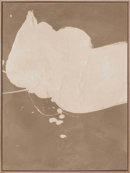 Imperfect Beauty Brown I Canvas Art Print