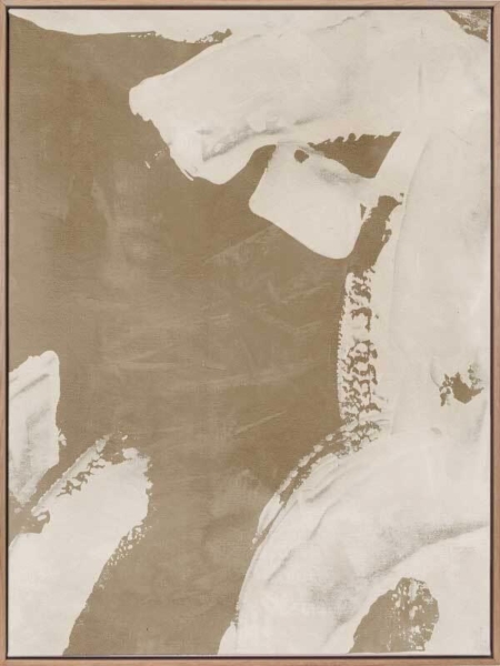 The Elegance of Imperfection II Canvas Art Print