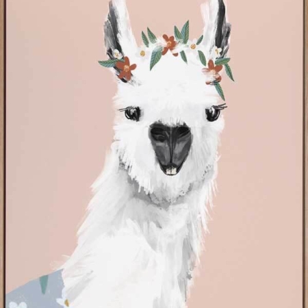 Delightful Alpaca Canvas Art Print