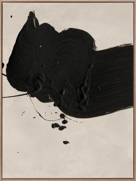 Imperfect Beauty Black I Canvas Art Print