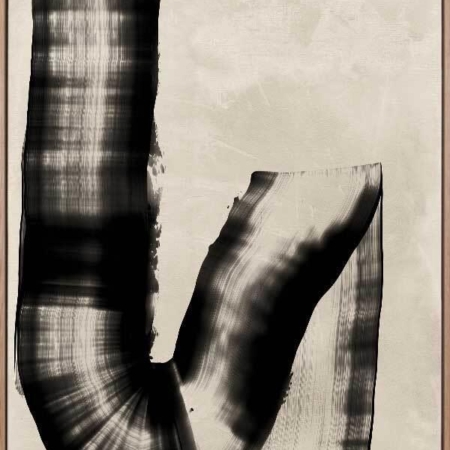 The Mystery of the Unseen Black Canvas Art Print