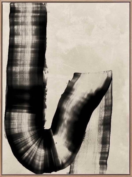 The Mystery of the Unseen Black Canvas Art Print