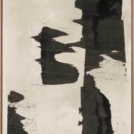 The Grace of Aging Black I Canvas Art Print