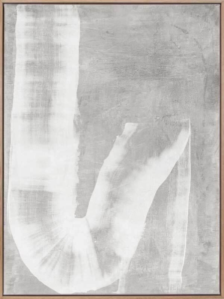 The Mystery of the Unseen Grey Canvas Art Print