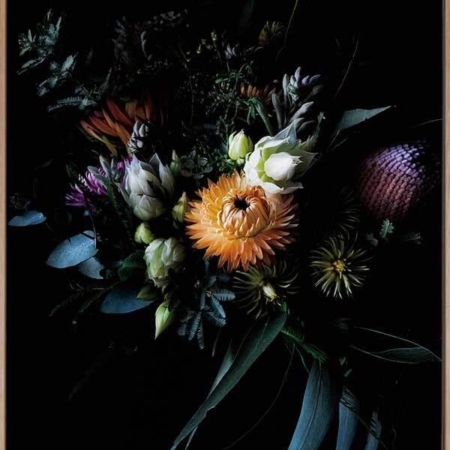 Native Collection Canvas Art Print