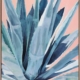 Agave Canvas Art Print