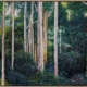 Eucalypt Canvas Art Print