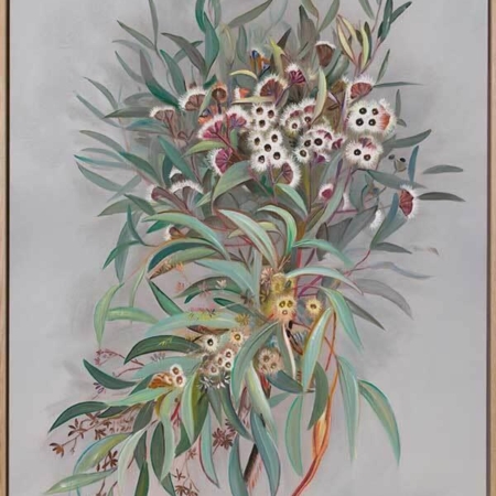 Gumnut Canvas Art Print