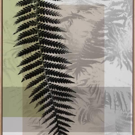 Plantation III Canvas Art Print