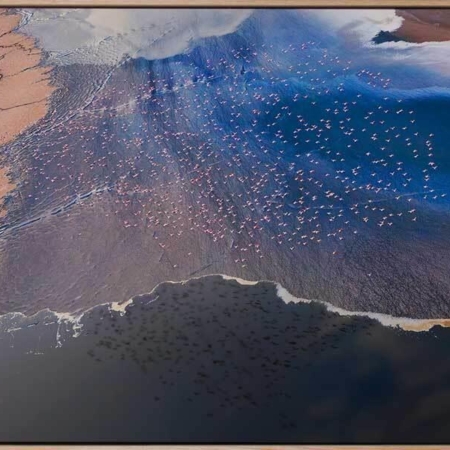 Flock Together Canvas Art Print