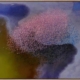 A Flamboyance Canvas Art Print