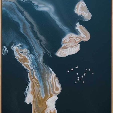 Birds Eye View Canvas Art Print