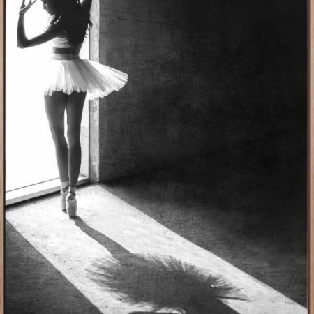 Backyard Ballet Canvas Art Print