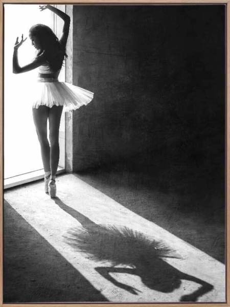Backyard Ballet Canvas Art Print
