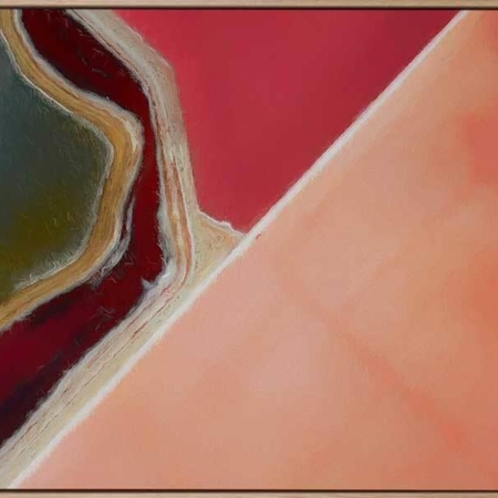 Pink Salt Canvas Art Print