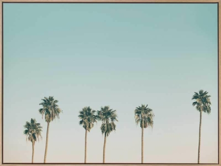 Laguna Canvas Art Print