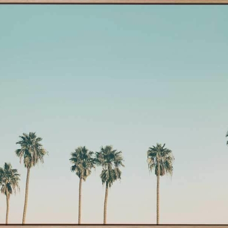 Laguna Canvas Art Print