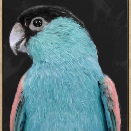 Koah Left Canvas Art Print