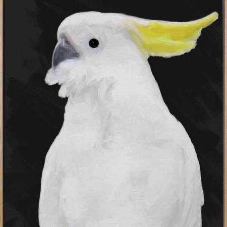 Audacious Canvas Art Print